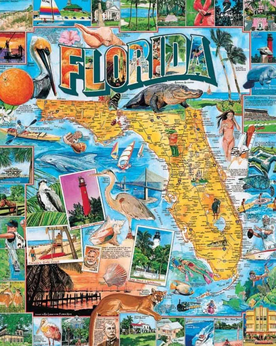 Florida (233pz) - 1000 Piece Jigsaw Puzzle