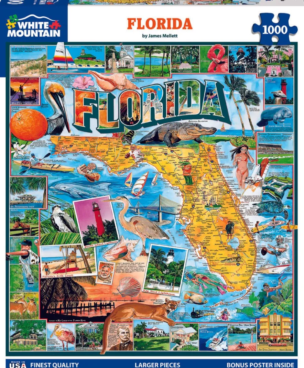 Florida (233pz) - 1000 Piece Jigsaw Puzzle