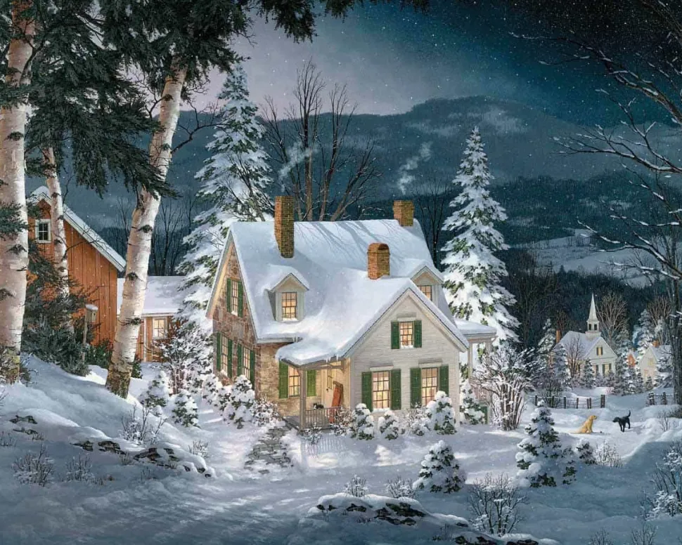Friends in Winter (470pz) - 1000 Piece Jigsaw Puzzle